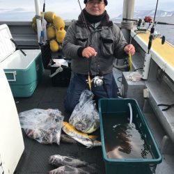 シーランチ 釣果