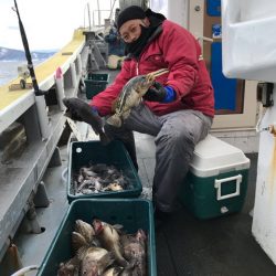 シーランチ 釣果