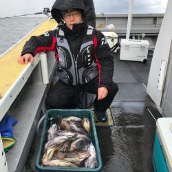 シーランチ 釣果