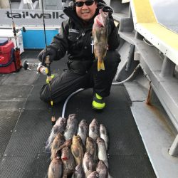 シーランチ 釣果