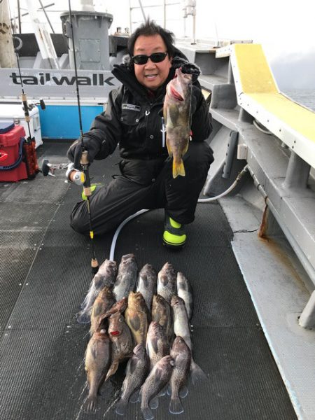 シーランチ 釣果