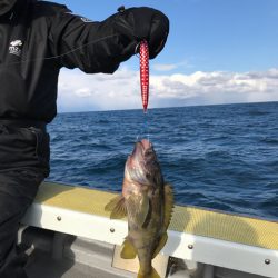 シーランチ 釣果
