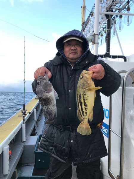 シーランチ 釣果