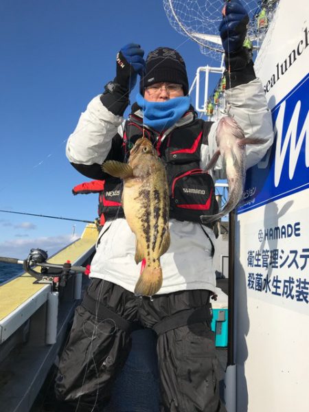 シーランチ 釣果