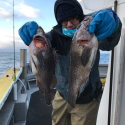 シーランチ 釣果