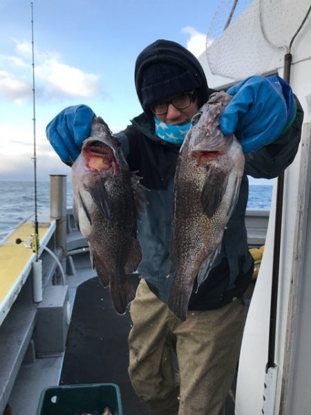 シーランチ 釣果