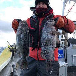 シーランチ 釣果