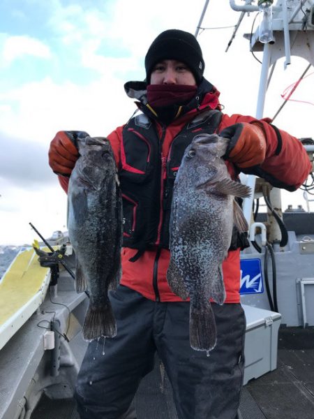 シーランチ 釣果