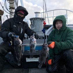 シーランチ 釣果