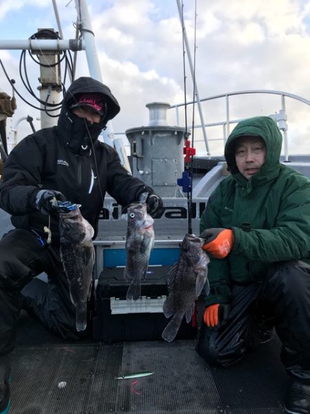 シーランチ 釣果