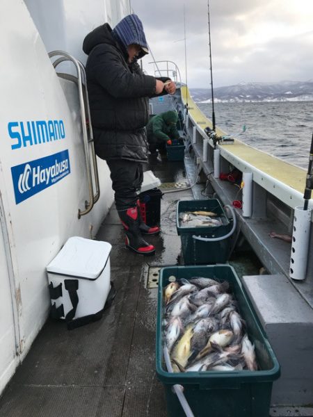 シーランチ 釣果