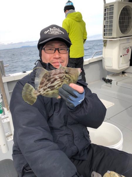 遊漁船メテオ 釣果