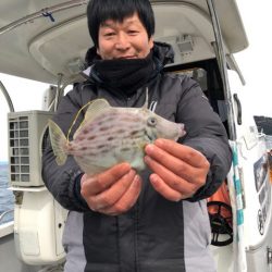 遊漁船メテオ 釣果