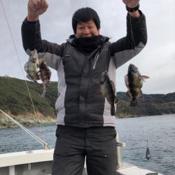 遊漁船メテオ 釣果