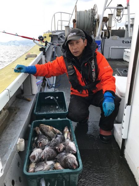 シーランチ 釣果