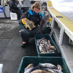 シーランチ 釣果