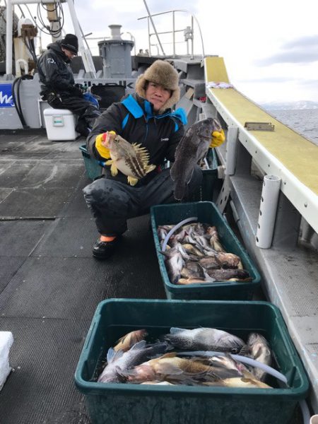 シーランチ 釣果