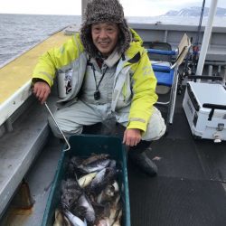 シーランチ 釣果