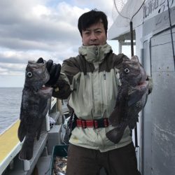 シーランチ 釣果