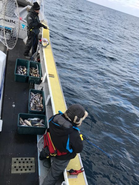 シーランチ 釣果