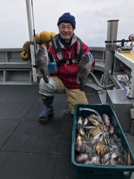 シーランチ 釣果