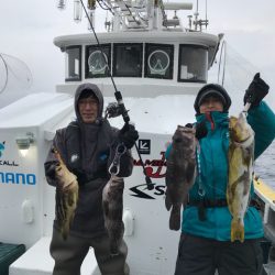 シーランチ 釣果