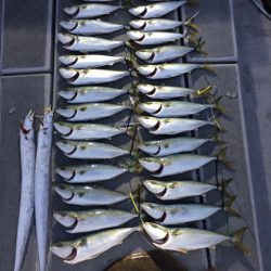 SeaRide(シーライド) 釣果