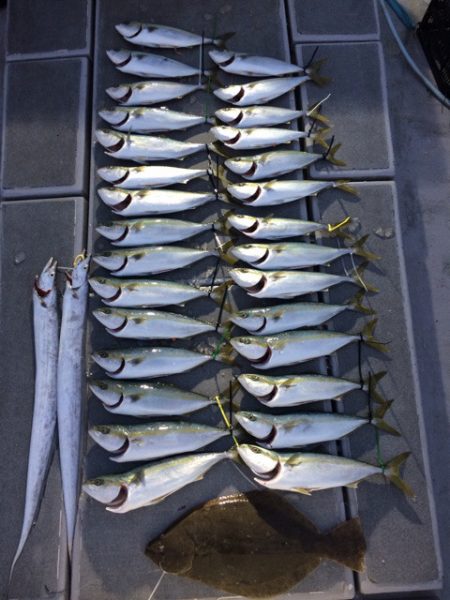 SeaRide(シーライド) 釣果