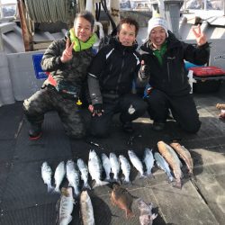 シーランチ 釣果