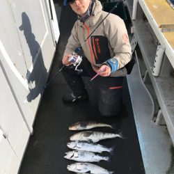 シーランチ 釣果