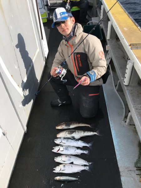 シーランチ 釣果