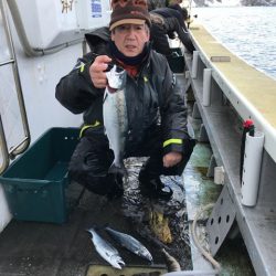 シーランチ 釣果