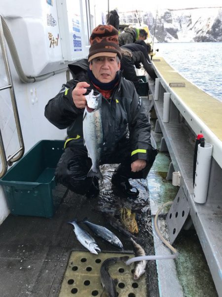 シーランチ 釣果