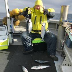 シーランチ 釣果