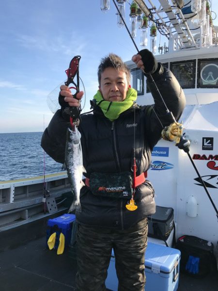 シーランチ 釣果