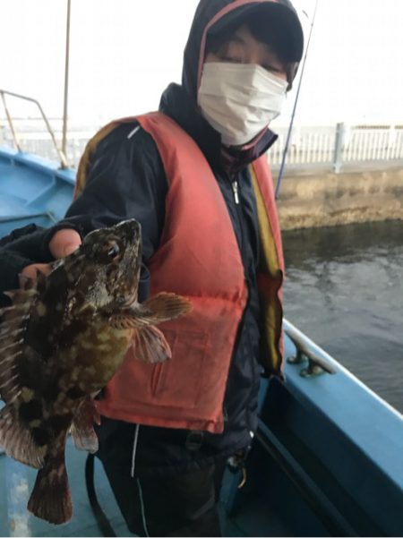ヤザワ渡船 釣果