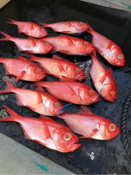 ＴＡＲＯＭＡＲＵ 釣果