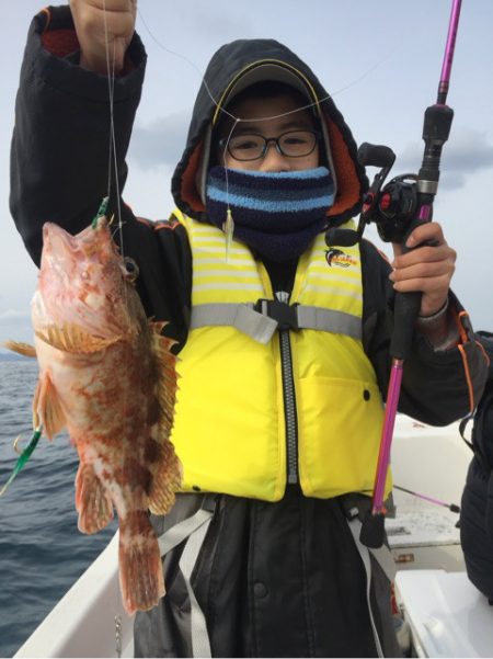 「LaGooN」蒼陽丸 日和号 釣果