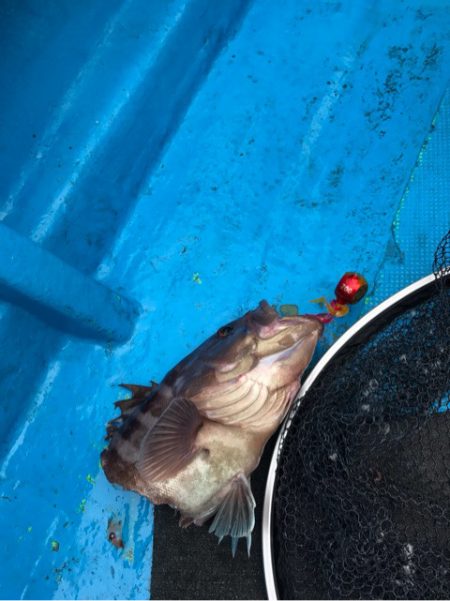 太平丸 釣果