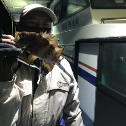 ヤザワ渡船 釣果