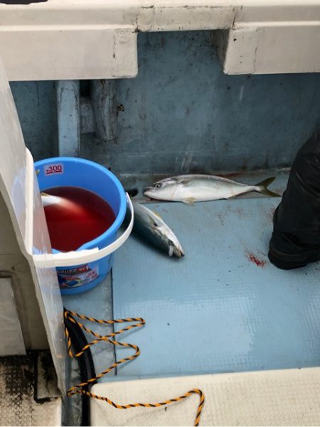 あみや渡船 JIGBOY 釣果