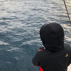 あみや渡船 JIGBOY 釣果