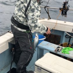 あみや渡船 JIGBOY 釣果