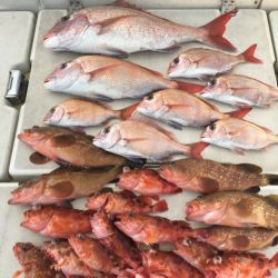 末広丸(熊本) 釣果