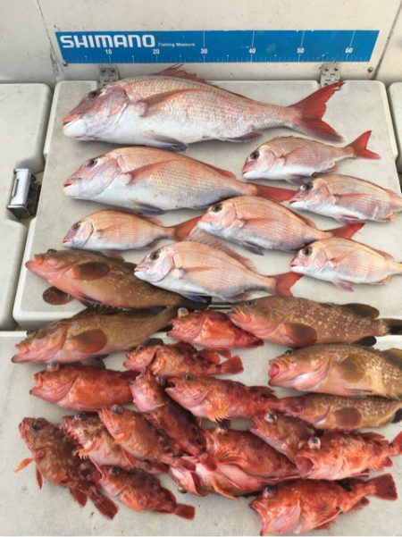 末広丸(熊本) 釣果