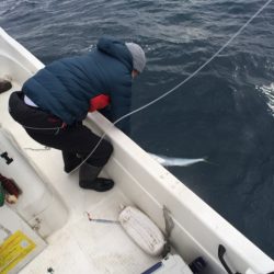 「LaGooN」蒼陽丸 日和号　 釣果