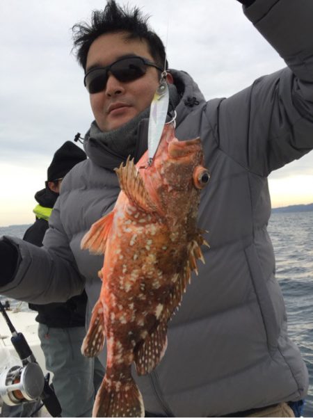 「LaGooN」蒼陽丸 日和号　 釣果