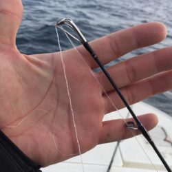 「LaGooN」蒼陽丸 日和号　 釣果