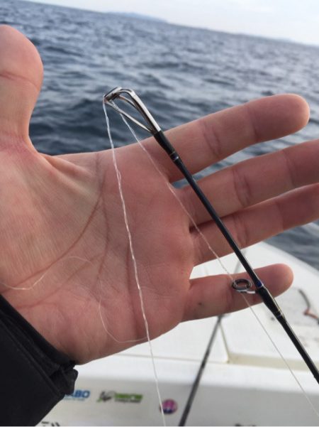 「LaGooN」蒼陽丸 日和号　 釣果