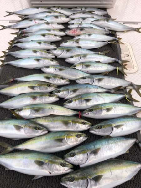 ビッグファイター 釣果